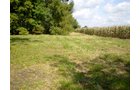 Property photo 3 - 75+/- Acres in 9 Tracts